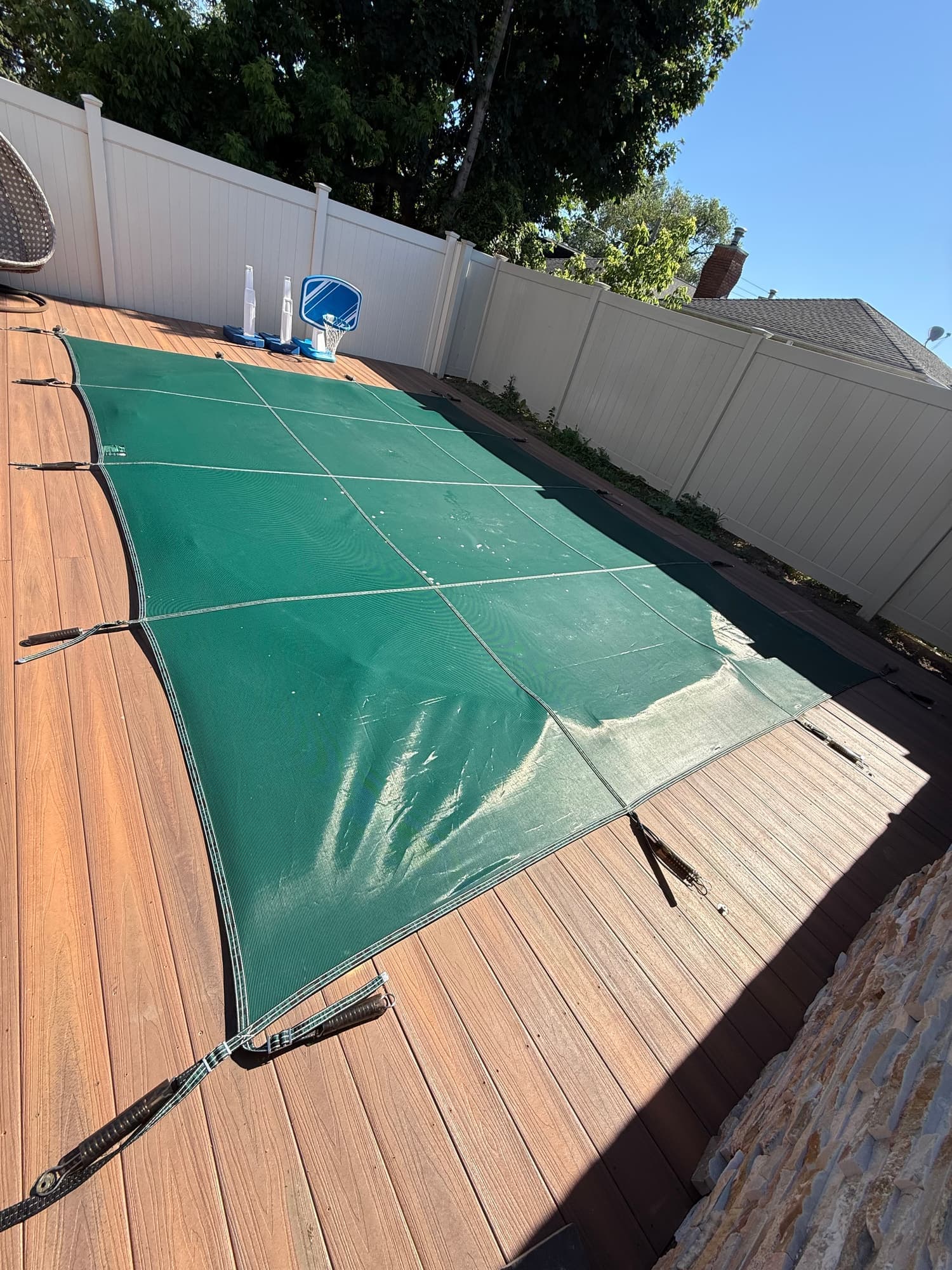 Pool photographed by Franklin Pool Service