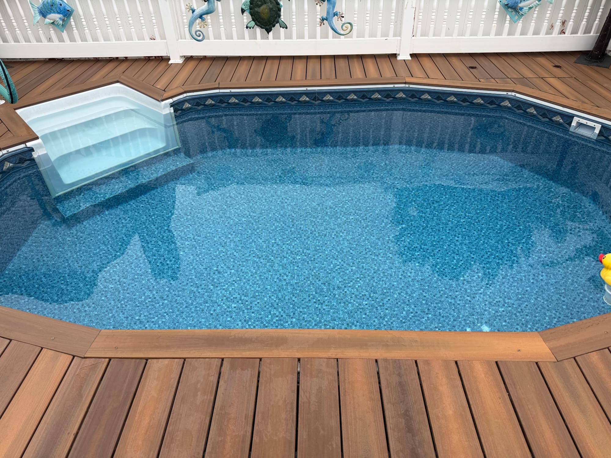 Pool photographed by Franklin Pool Service