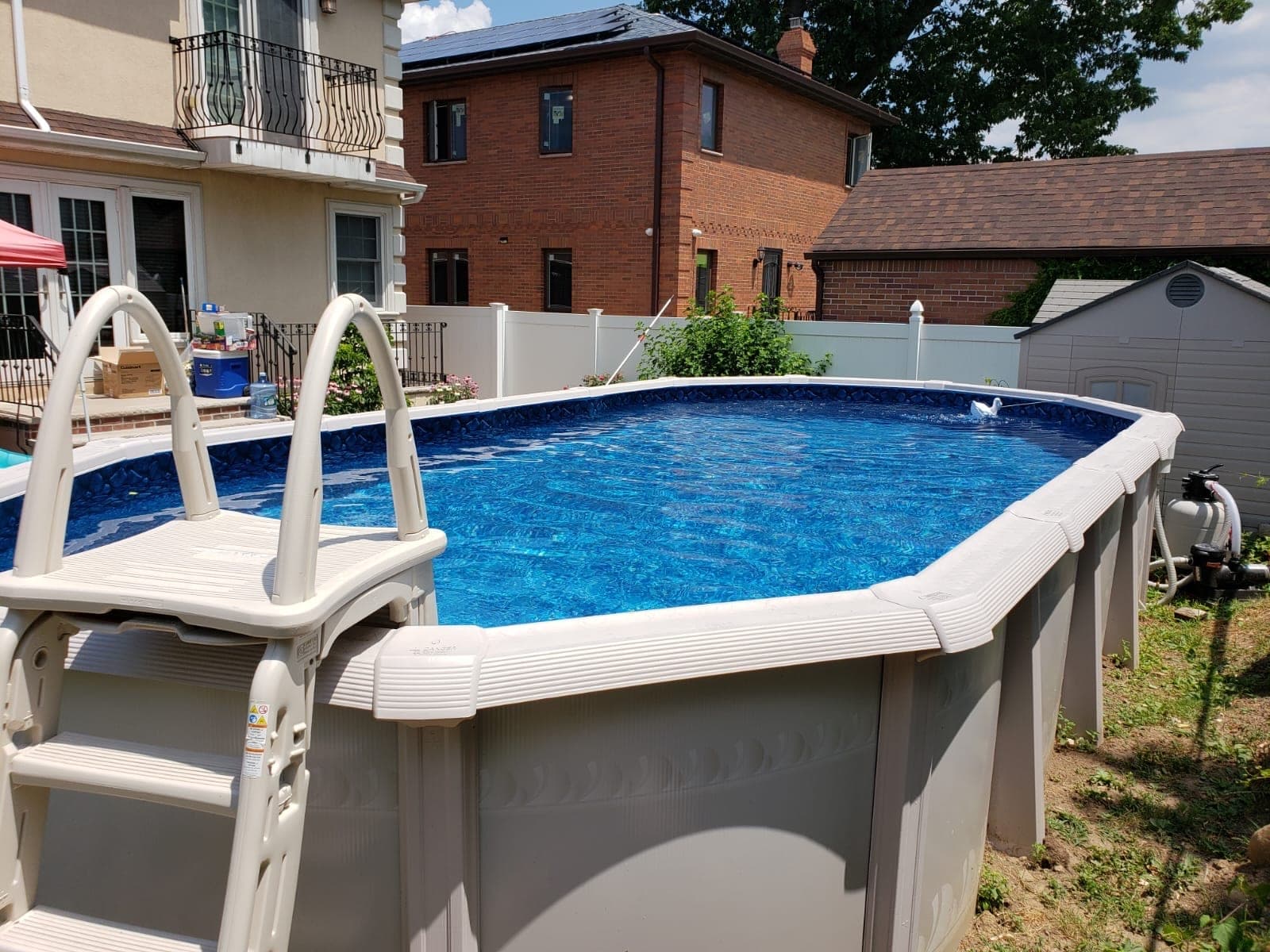 Pool photographed by Franklin Pool Service